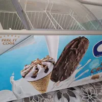 یخجال  فریزر ۶۰۰ لیتری