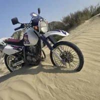 تریل دیجبل 250