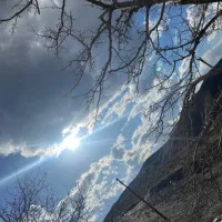 کارشناس بهداشت حرفه ای