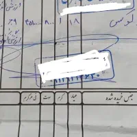 پلاک قلب با زنجیر|جواهرات|دوگنبدان, |دیوار