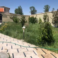 علف.زنی.سمپاشی|خدمات باغبانی و درختکاری|تبریز, |دیوار