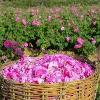 خریدارزمین-درسرابتاوه-هستم