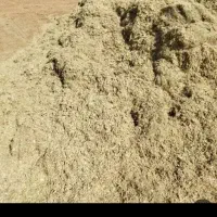 کاه لوبیا عالی ۹ تمن