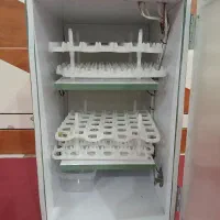 دستگاه جوجه|لوازم جانبی حیوانات|شادگان, |دیوار