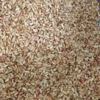 تخم مرغ عسل روغن حیوان