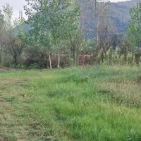 فروش ۳۱۰متر زمین مسکونی باپروانه ساخت