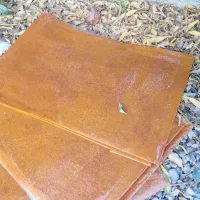 لواشک زردآلو خانگی|خوردنی و آشامیدنی|داراب, |دیوار