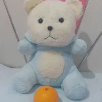 خرس کلاهدار