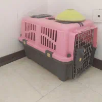 باکس حمل حیوانات|لوازم جانبی حیوانات|ساری, |دیوار