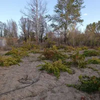 باغ ۳۵۰۰ متری در اژدهاتو