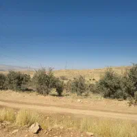 ماشین آفرودی