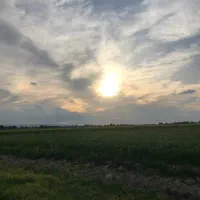 آبگیر باتجربه در کار آبیاری