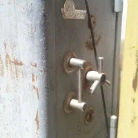 گاو صندوق