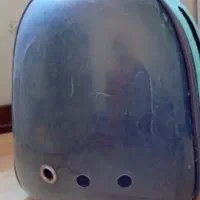 لوازم جانبی گربه