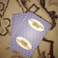 پاسور BEE نو نو|اسباب‌‌بازی|اصفهان, شفق|دیوار