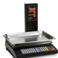 ترازو،بخاری،قفسه فروشگاهی. گل میز شیشه ای