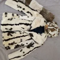 ست پالتو پوست خرگوش|لباس|اصفهان, خانه اصفهان|دیوار