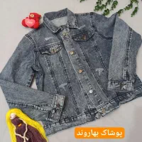 کت لی بزرگسال