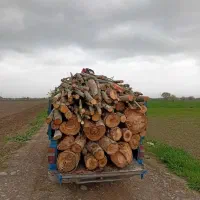 خرید چوب باغی