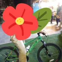 یه دستگا دوچرخه کویر