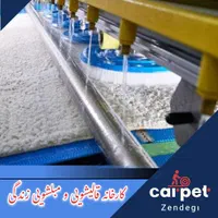 کارخانه قالیشویی و مبلشویی زندگی|خدمات نظافت|تهران, امیرآباد|دیوار