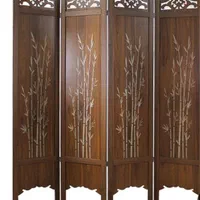 پارتیشن یا پاراوان