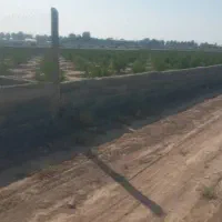 زمین ۲۵۰ متری آماده ساخت با تمام امکانات|فروش زمین و ملک کلنگی|قرچک, پویینک|دیوار