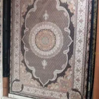 استخدام نیروی خانم در دفتر فرش