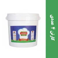 سس مایونز دبه دلپذیر