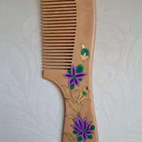 شانه چوبی، نقاشی کار دست|صنایع دستی و سایر لوازم تزئینی|شیراز, باغ تخت|دیوار