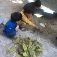 دعوت به همکاری مربی و تسهیلگر