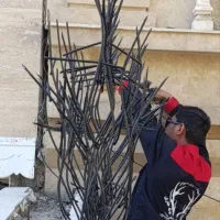 حفاظ روی دیوار شاخگوزنی.بوته خاری نرده پنجره در