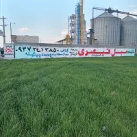 نقاشی و دیوار نویسی