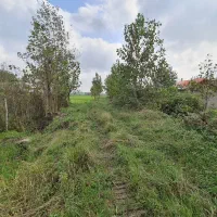 ۲۰۰۰متر زمین کشاورزی کاملا یکدست نزدیک امتیازات|فروش دفتر صنعتی، کشاورزی، تجاری|خمام, |دیوار