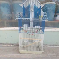 قفس عروس هلندی