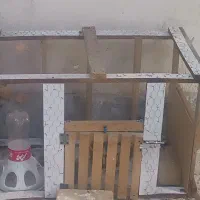 قفس مرغ و پرنده