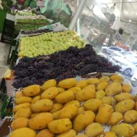 کارگر بساط زن میوه فروشی