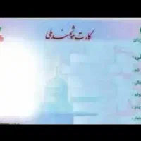 کیف مدارک گم شده