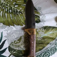 ۲ عدد چاقوی کلکسیونی