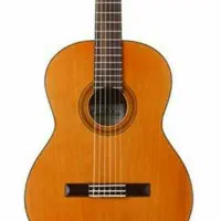 تدریس خصوصی گیتار در ۱۰ جلسه .