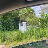 فرروش زمین ۲۸۰ متری در همت آباد|فروش زمین و ملک کلنگی|شیرود, |دیوار