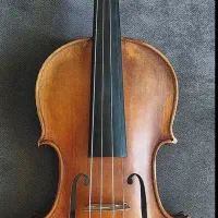 ویلن حرفه ای