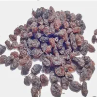 فروش کشمش آفتابی