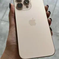 16promaxباگارانتی