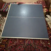 میز پینگ پنگ