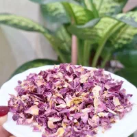 گل محمدی تازه ۶۰۰گرم ازش مونده