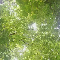 نظافت منزل ویلا آپارتمان