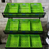 قفسه و استندسبزی و میوه