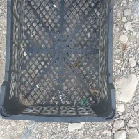 سبد16کیلویی|ظروف نگهدارنده، پلاستیکی، یک‌بارمصرف|خورموج, |دیوار