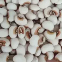چشم بلبلی ترتمیز پاک شده چین اول